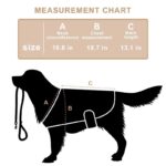 Pet Red Light Infrared Physiotherapy Home Wireless Portable Timing - Image 2