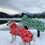New Autumn And Winter Quilted Snow Warm Waterproof Large Dog Cotton Jacket Coat Jacket - Image 2