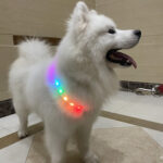 LED Pet Dog Cat Collar Pendant Glowing Night Safety Multiple Colours Collar Safety Flashing Outdoor Loss Prevention Pet Supplies - Image 6