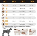 Dog Raincoat Waterproof Soft Breathable Dog Rain Jacket For Small Dog Hooded Dog Rain Coat With Transparent Cap Protect Belly - Image 2