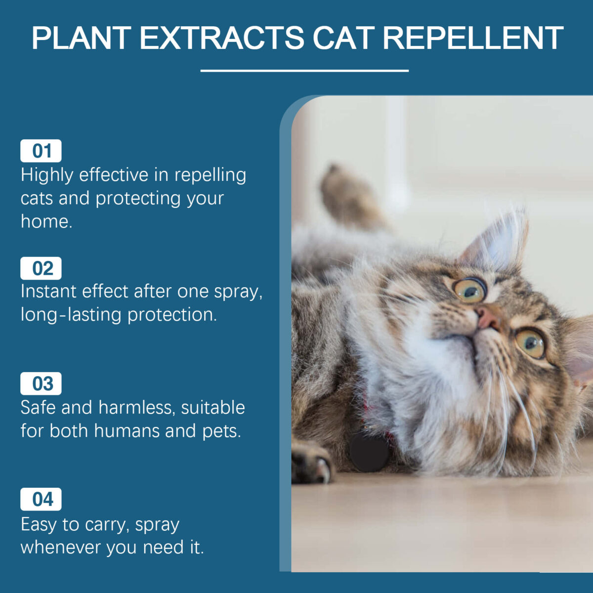 Pet Insect Repellent Prevent Cats From Going To Bed Spray - Image 4