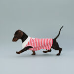 Dog Vest Sleeveless Red Striped Small Dog Schnauzer Sausage - Image 3