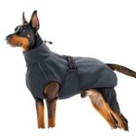 Teddy Autumn And Winter Clothing Winter Vest Thick Winter Coat - Image 2