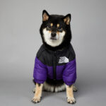 Windproof And Rainproof Dog Winter Warm Pet Cotton-padded Clothes - Image 4