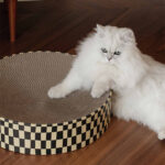 Round Corrugated Paper Wear-resistant Cat Scratching Board - Image 2