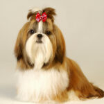 Pet Supplies Bow Rubber Band Scrunchie Head Flower Dog Cat Accessories - Image 5