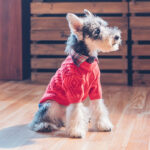 Pet Dog Clothes Sweater Autumn And Winter Clothes - Image 5
