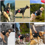 Dog outdoor vest tactical suit - Image 6