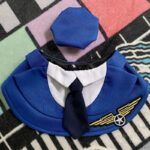 Fashion Personalized Pet Fighter Clothing Neck - Image 6