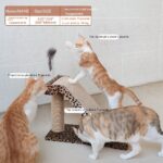 Cat Scratch Board With Corrugated Paper Can Be Replaced And Used Repeatedly - Image 3