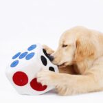 Color dice doll training to play and sniff pets - Image 5