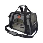 Cat bag space bag - Image 4