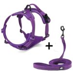 Dog Breast Strap Dog Traction - Image 9