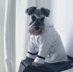 Pet clothes bathrobe robe pajamas - Image 2