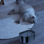 Pet Water Feeder Stainless Steel Antibacterial Water Purification - Image 2
