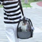 Pet Suitable Transparent Hand Cat Bag Foldable Portable Lightweight Outing - Image 2