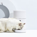 Pet Dog Cat Food Dispenser Bowl with Camera Wide Angle Automatic Pet Feeder Food Bowl APP Control Pet Accessories - Image 7