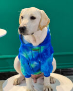 Pet Dog Tide Brand Warm And Thickened Tie Dyed Sweatshirt - Image 4