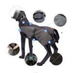 Waterproof dog raincoat - Image 3