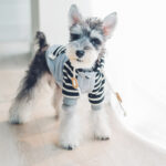Dog clothes hooded - Image 2