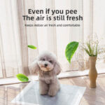 Pet Thickened Deodorant Urine Pad - Image 5