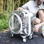 Transparent Portable Outdoor Mute Dogs And Cats Trolley Case Space Capsule - Image 2