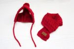 Tide pet clothes dog hat bib suit Teddy Bomei wool scarf autumn winter hat pet scarf - Image 7