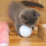 USB laser funny cat toy - Image 6