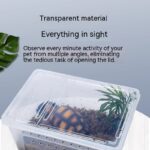 Silkworm Feeding Pet Box Turtle Jar - Image 2