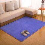 Memory cotton coral velvet carpet Living room bedroom door mats Bathroom kitchen non-slip absorbent carpets - Image 4