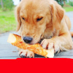 Dog teeth cleaning bones - Image 3