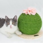 Cactus Cat Climbing Frame - Image 4