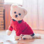 Pet Dog Clothes Sweater Autumn And Winter Clothes