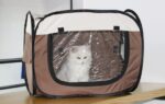 Pet Drying Bag Dog Blowing Kitten Bath Dryer - Image 3