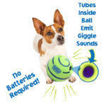 Dog molar toy - Image 4