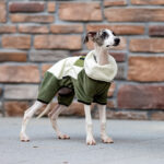 Pet Warm Collar Detachable Windproof Four-leg Clothes - Image 2