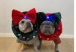 Cat New Year's Christmas Ornament Headgear - Image 5