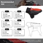 Polar Fleece Liner Dog Warm Clothing - Image 3