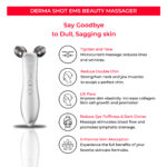 Micro-current Roller Face Slimming Massager 2-wheel Shaping Skin Tightening Beauty V Face - Image 2
