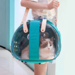 Transparent cat and dog backpack - Image 3
