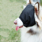 Stable Eye Mask - Image 2