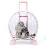 Pull Rod Transparent Cat Bag Rhombic Grid Reinforced Round - Image 5