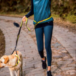 Leash on dog chest strap - Image 2