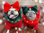 Cat New Year's Christmas Ornament Headgear - Image 3