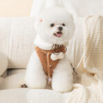 Fashion New Puppy Cute Bear Dress - Image 2