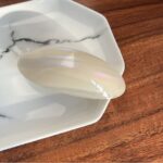 Oval Hairpin Half Tie Hair Clips Hair Accessories Back Head Hairpin Headwear Spring Clip Top - Image 3