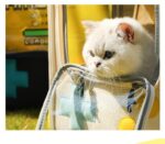 Game Console Retro Style Pet Cat Bag Portable Out Backpack Foldable Large Capacity Dogs And Cats Travel Nest - Image 10