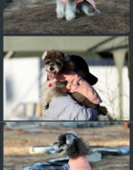 Dog Antibacterial Deodorant Cotton-padded Coat - Image 5