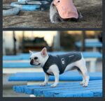 Dog Antibacterial Deodorant Cotton-padded Coat - Image 6