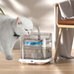 Intelligent Circulating Water Dispenser For Pets And Cats - Image 7